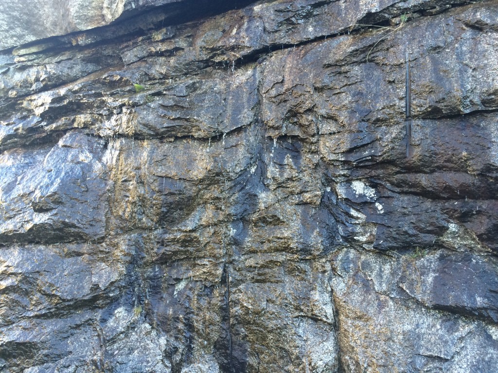 Paso del Maragato. Avila. Castilla y León.&nbsp;6.12.2016