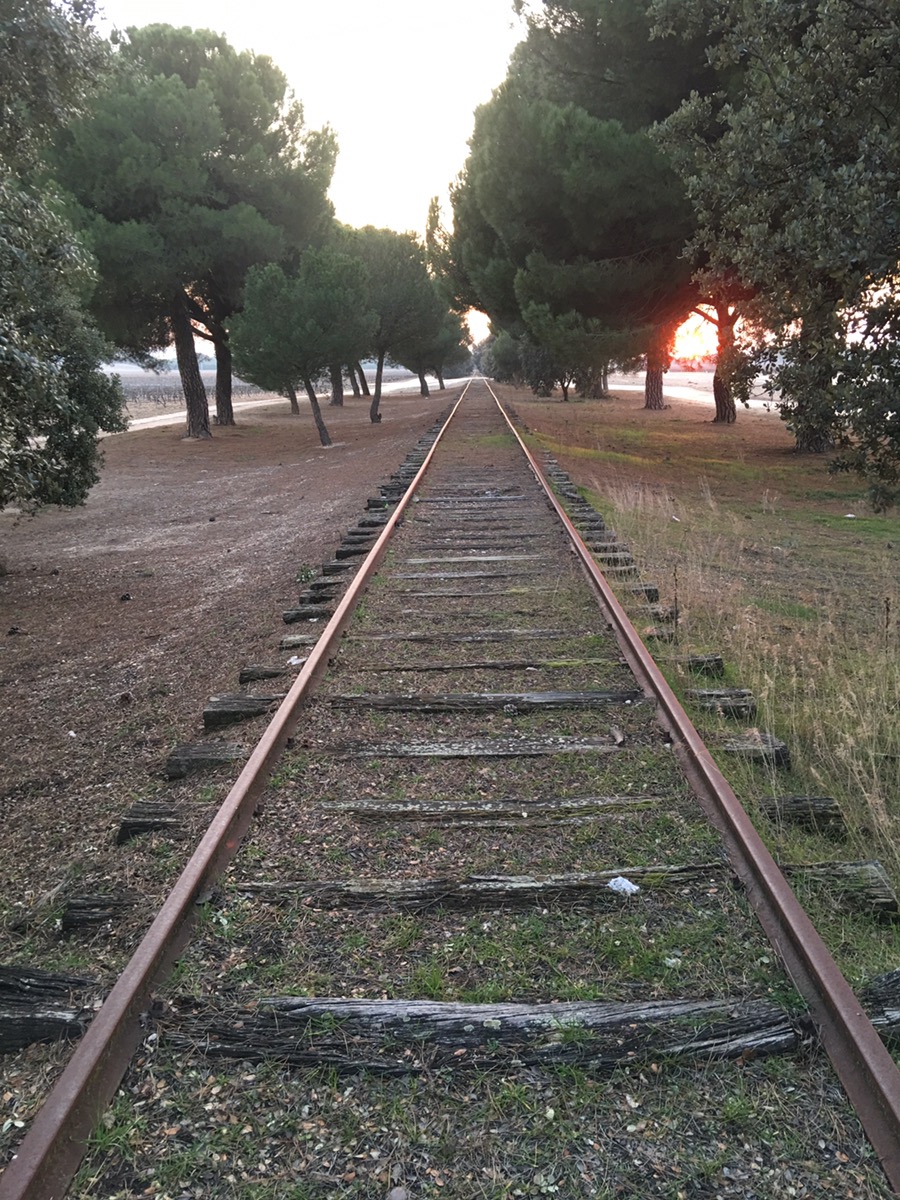 Línea Valladolid-Ariza, cerca de Quintanilla de Onésimo, Valladolid, Castilla y León.&nbsp;17.2.2017