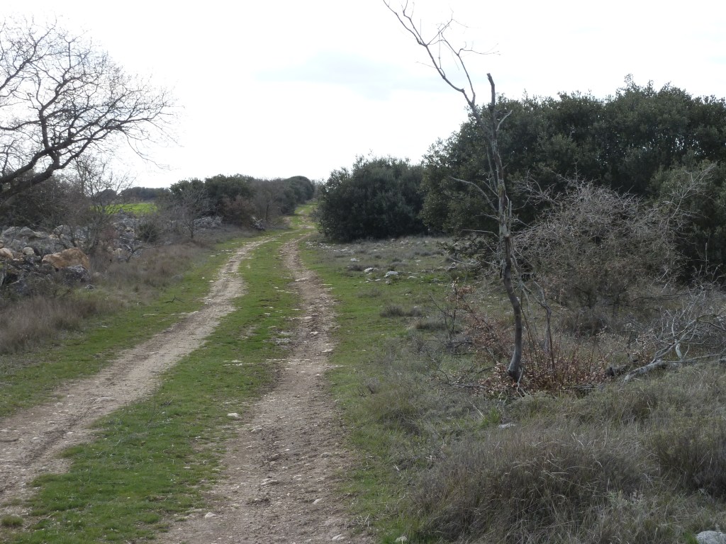Tórtoles de Esgueva. Burgos. Castilla y León.&nbsp;27.3.2010