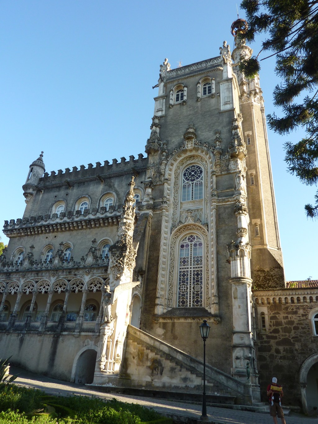 Mata do Bussaco. Aveiro. Portugal.&nbsp;10.8.2011