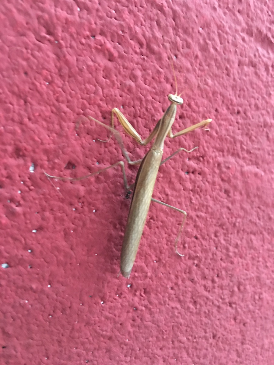 Momentos y Ambientes. Aranda de Duero. Burgos. Castilla y&nbsp;León.