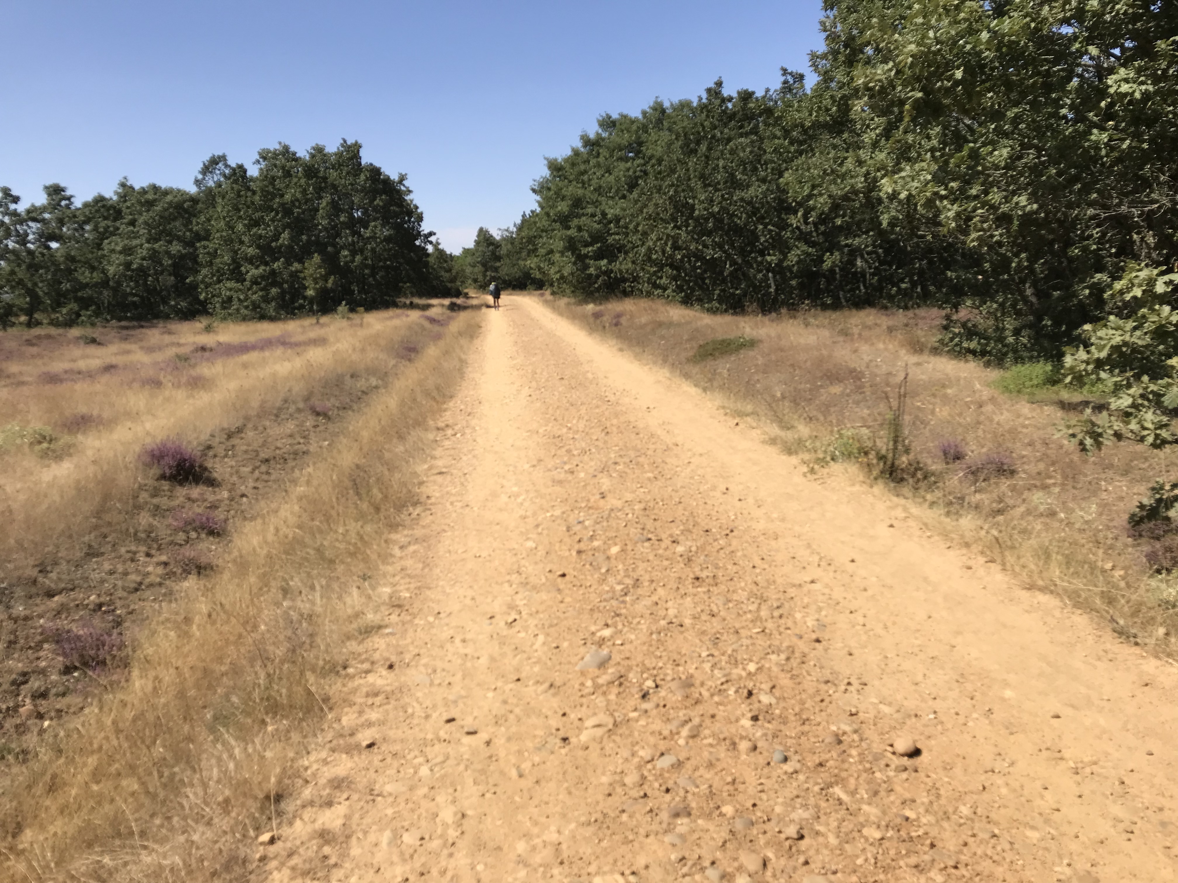 2018-08-27 12.59.40.jpg