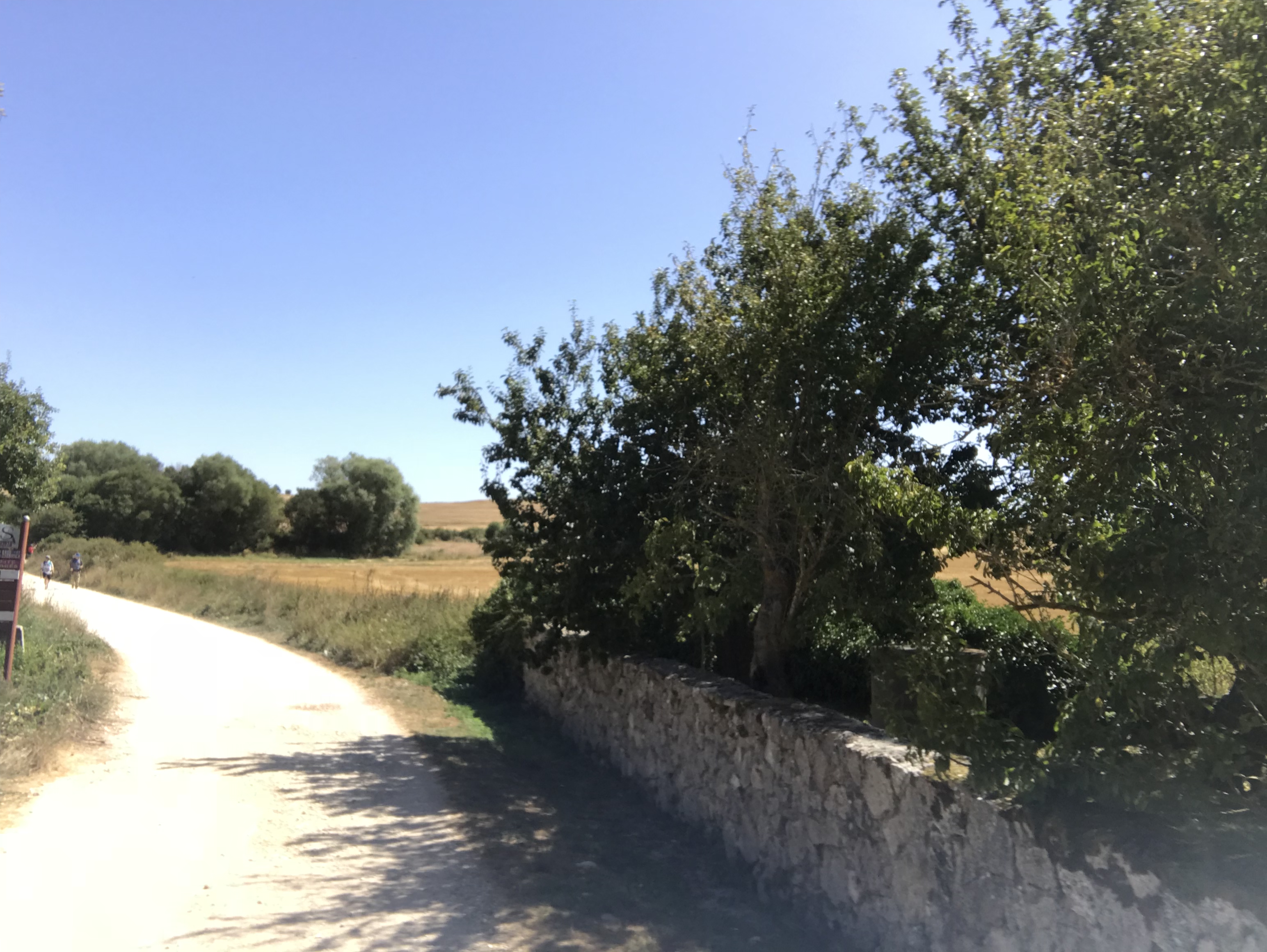 2018-08-27 13.12.50-1.jpg