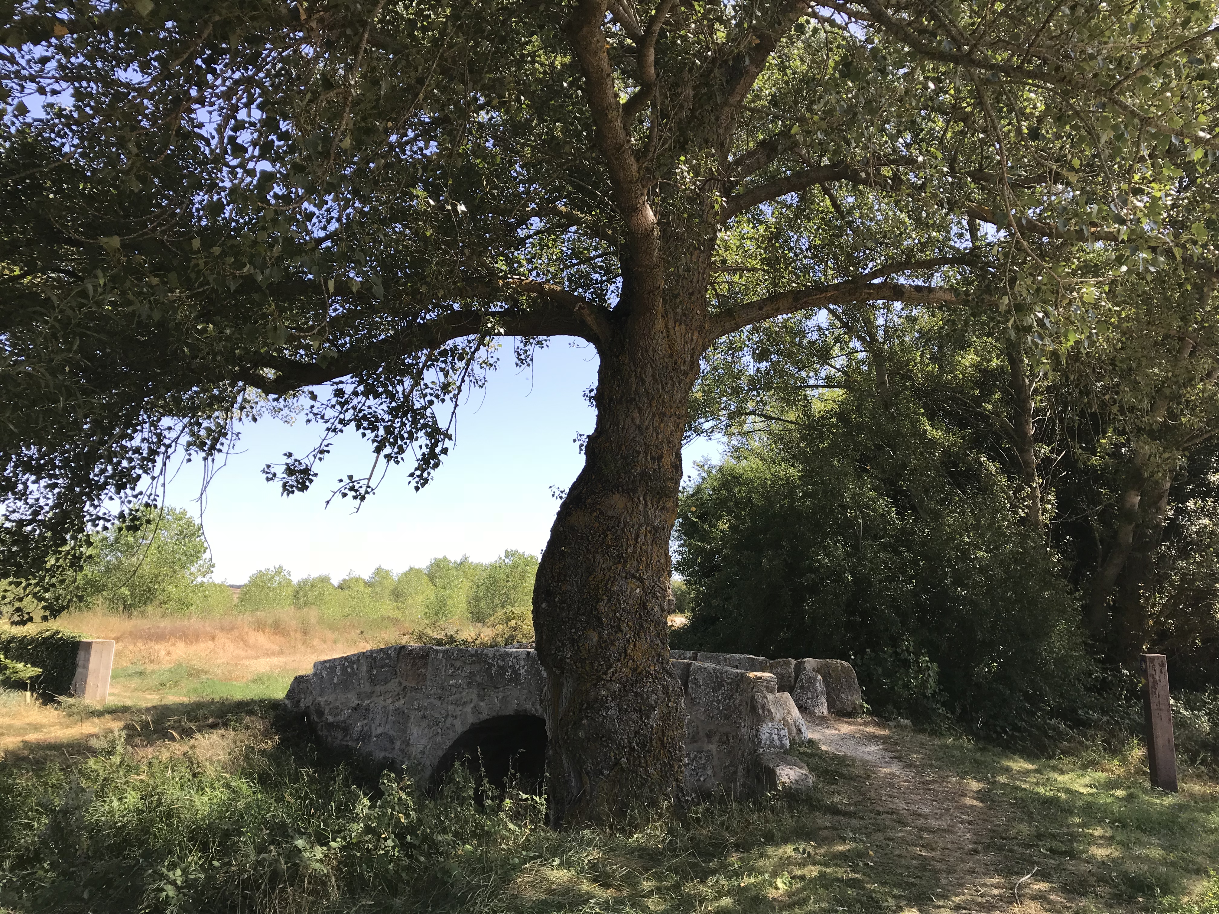 2018-08-27 13.17.12-1.jpg