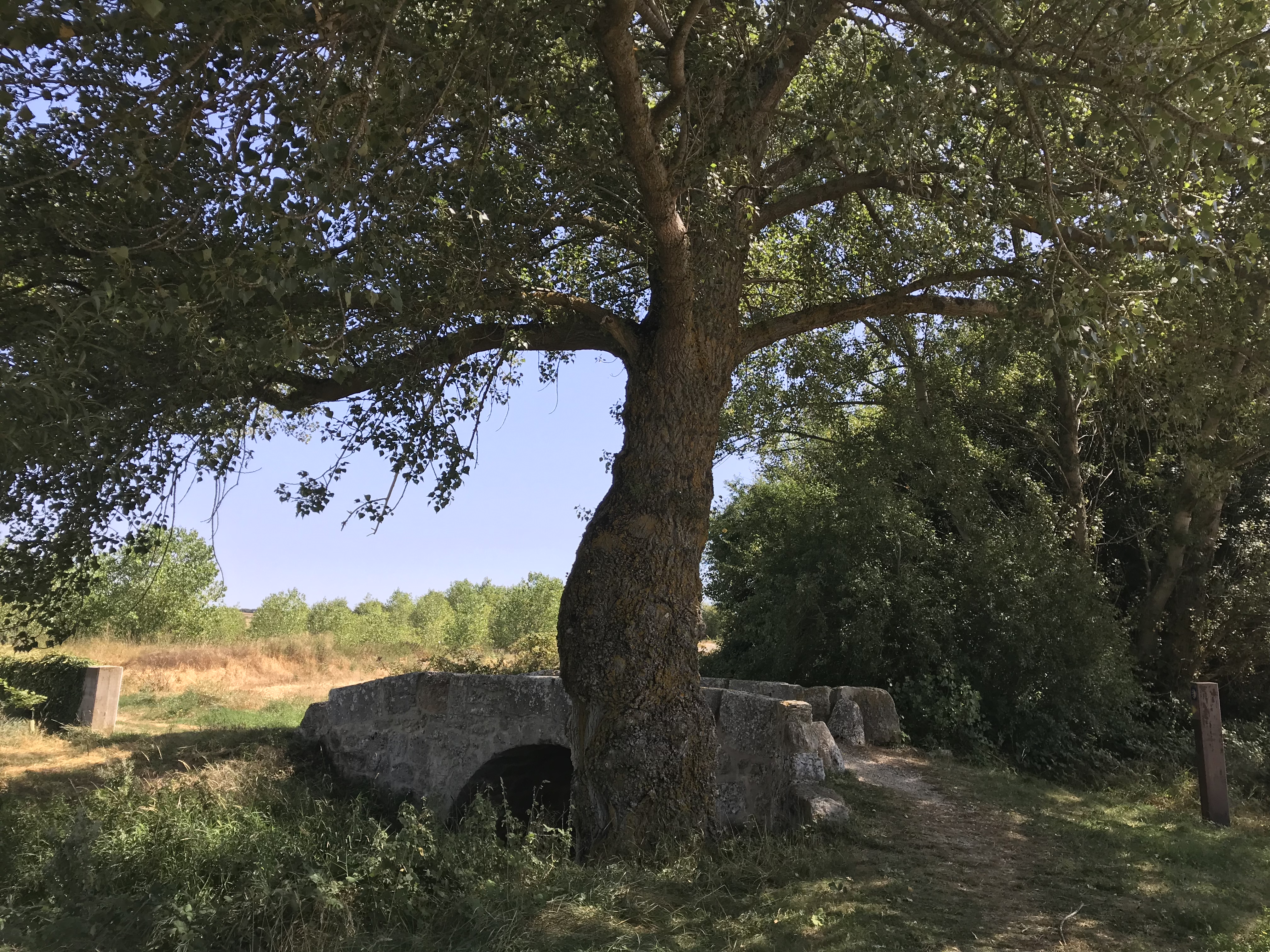 2018-08-27 13.17.12 HDR.jpg