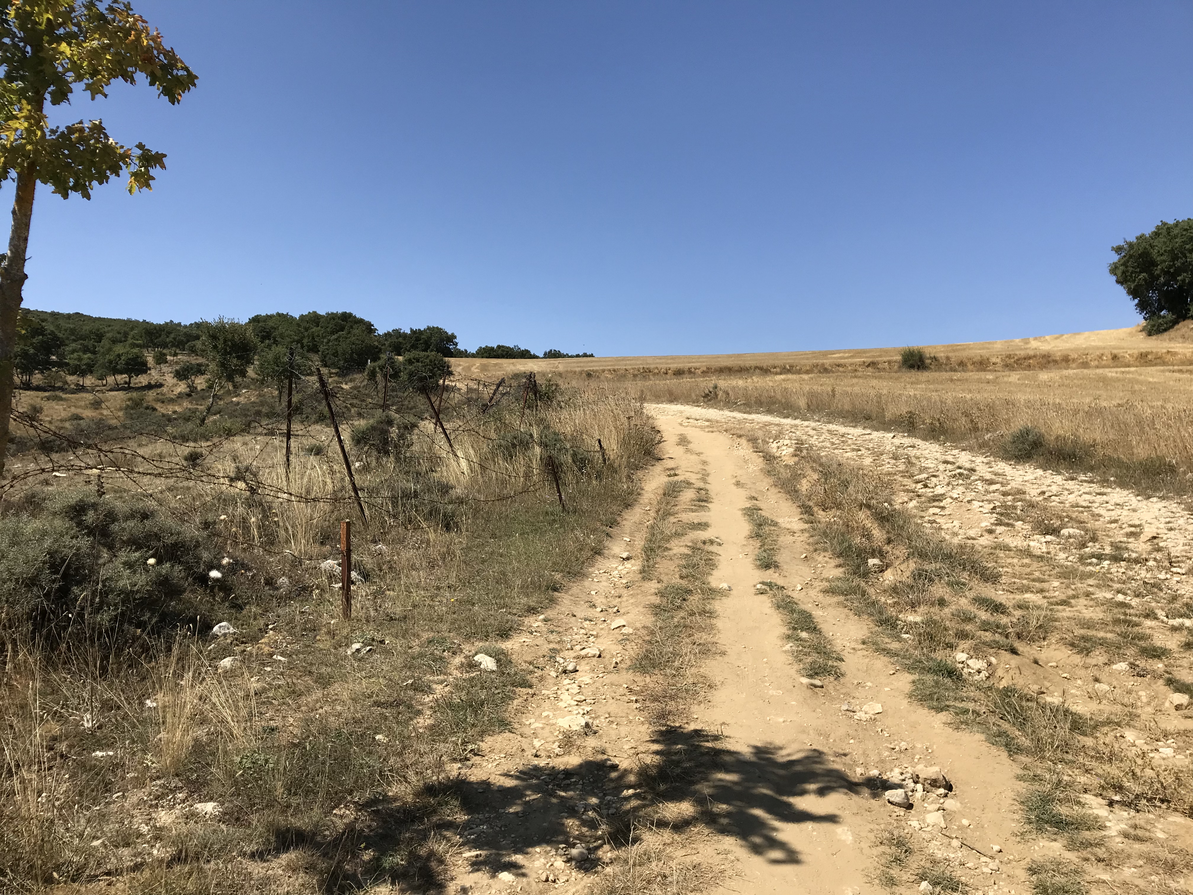 2018-08-27 13.48.43.jpg