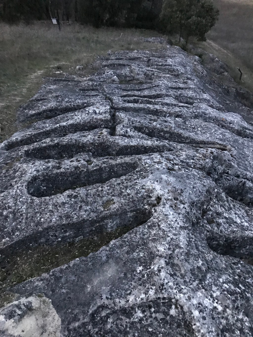 Santa Maria de Tejuela necrópolis alto medieval. Burgos. Castilla y León.&nbsp;18.3.2019