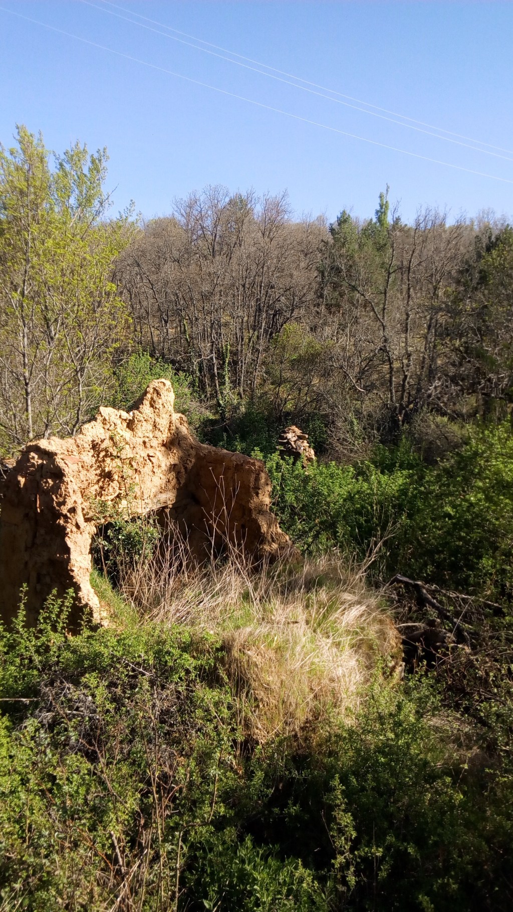 Riaza. Segovia. Castilla y León.&nbsp;8.5.2019