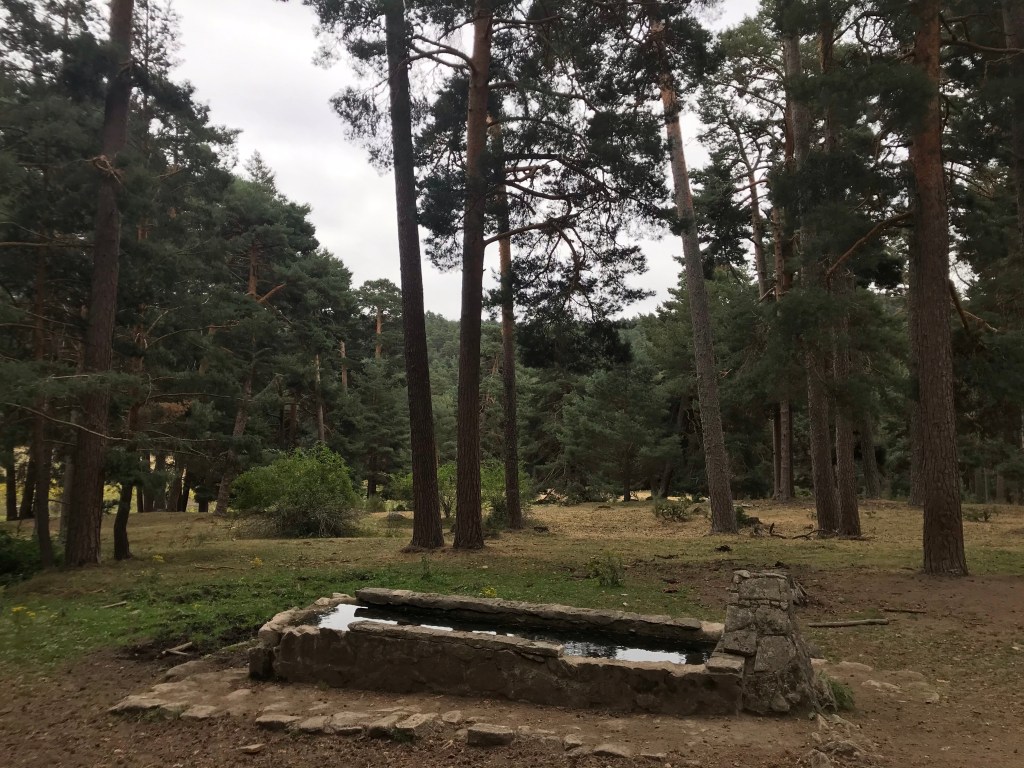 Navarredonda de Gredos. Ávila. Castilla y León.&nbsp;9.8.2020