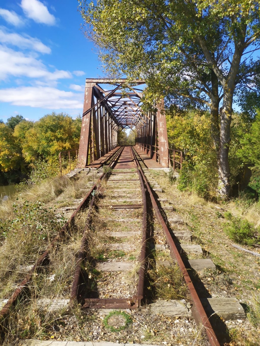 Casa de guardagujas y puente. Berlangas de Duero. Soria. Castilla y León.&nbsp;11.10.2020