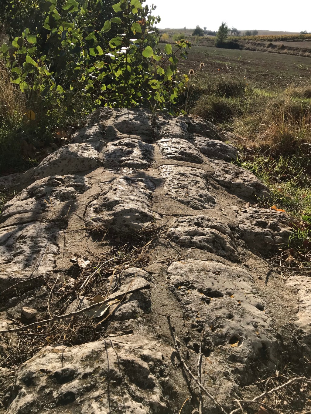 Sendero de los Despoblados. Ermita Virgen de la Basardilla y Puente Romano en Olmedillo de Roa.&nbsp;PRC-BU-152