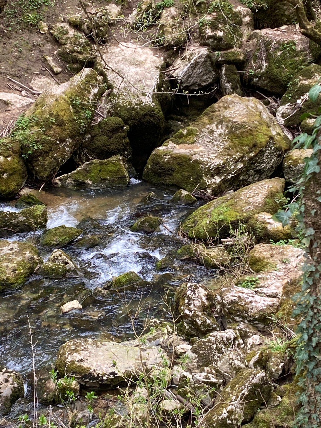 Sumidero del Guareña. Burgos, Castilla y León.&nbsp;1.4.2021.