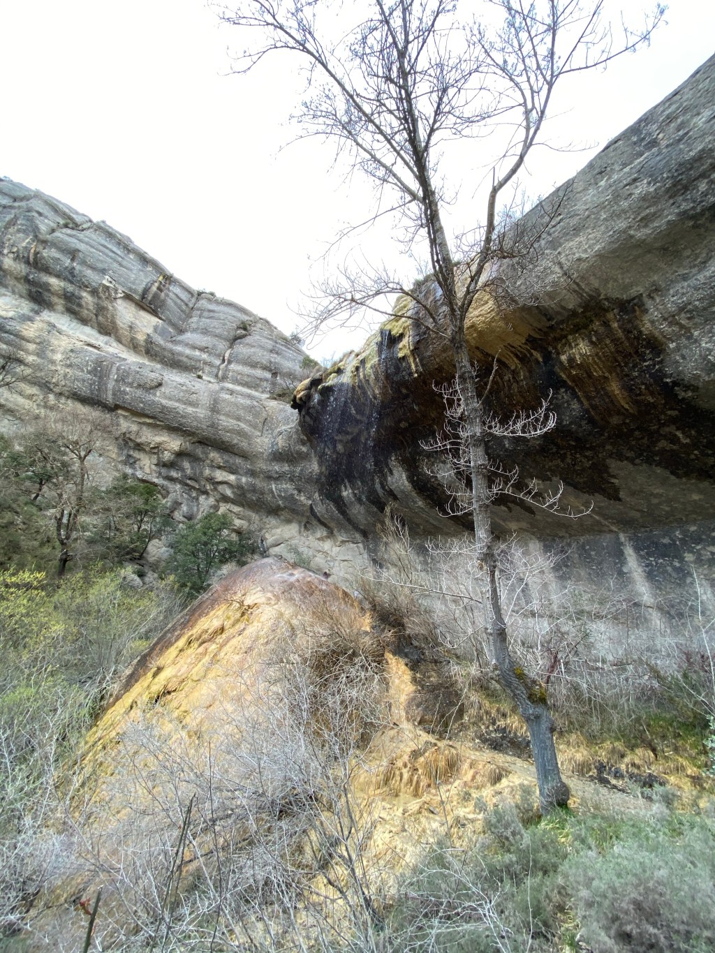 Cascada de la Mea en Puentedey y Elóboro Negro. Burgos. Castilla y León.&nbsp;1.4.2021