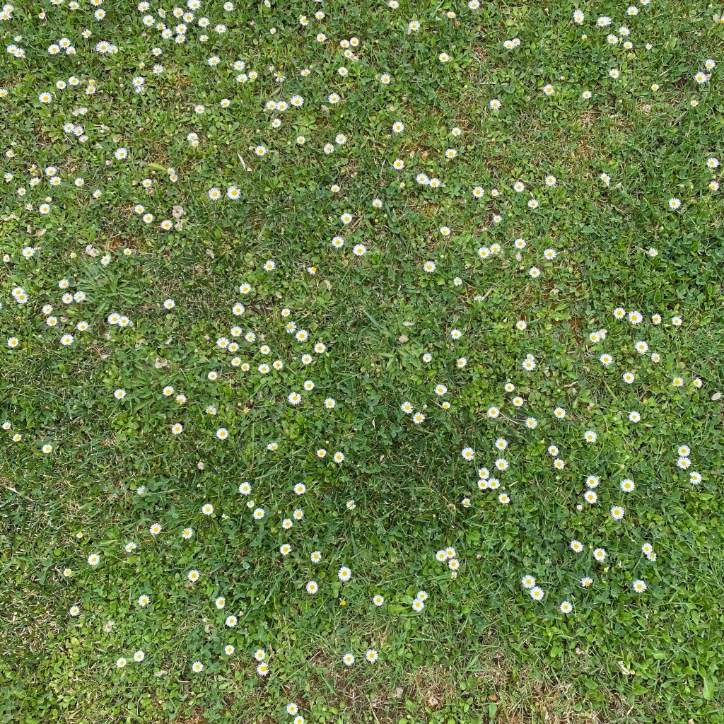 Notas para MicroPoema&nbsp;Visual.