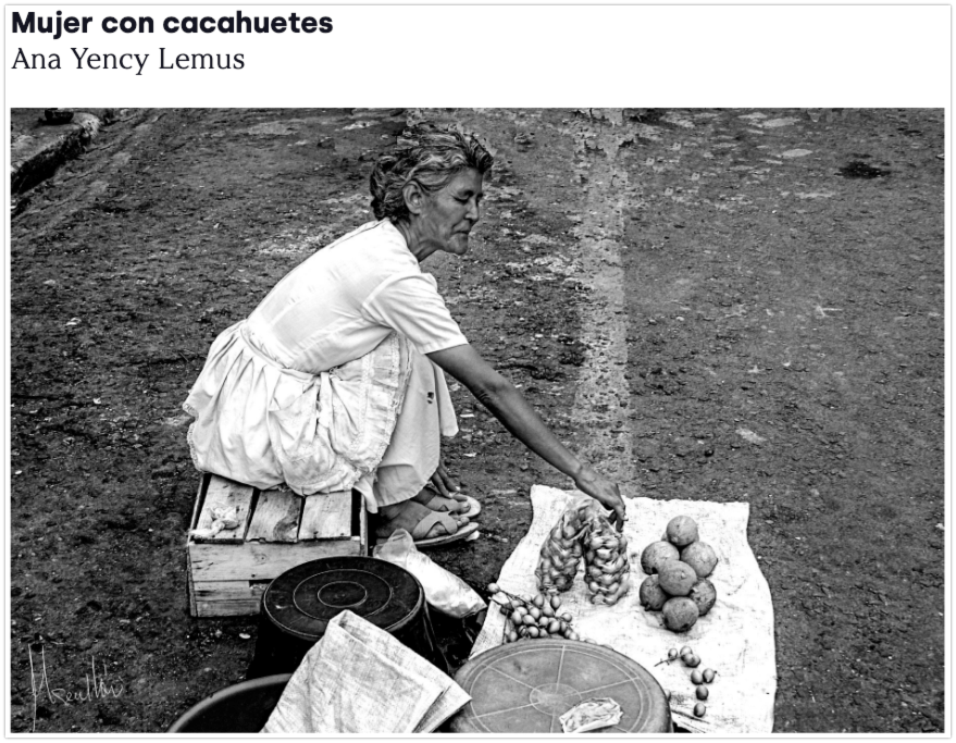 Notas para MicroPoema&nbsp;Visual.