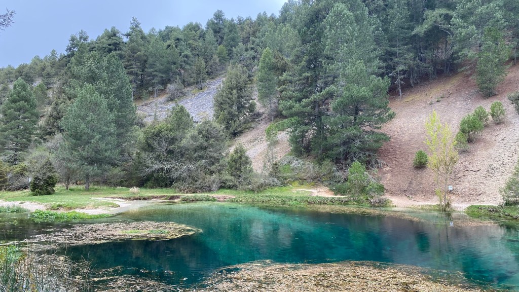 Muriel De la Fuente. Río Abión, la Fuentona y Cascada. Soria. Castilla y León.&nbsp;1.5.2021