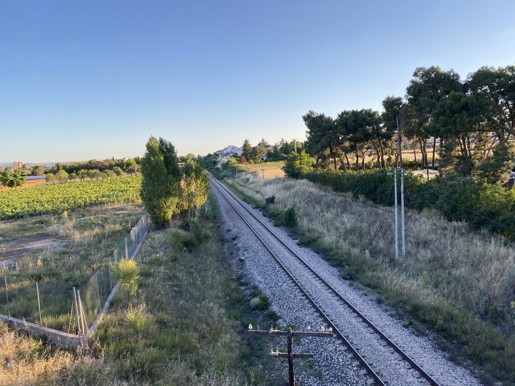 Alrededor de Aranda de Duero. Burgos. Castilla y León. Julio&nbsp;2021