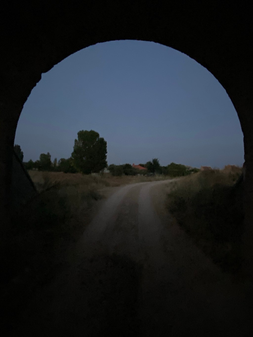 Notas para MicroPoema&nbsp;Visual.