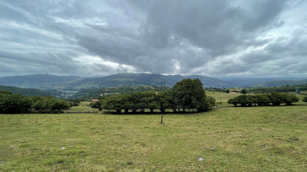 Valle del Pas. Santander. Cantabria.&nbsp;25.06.2022