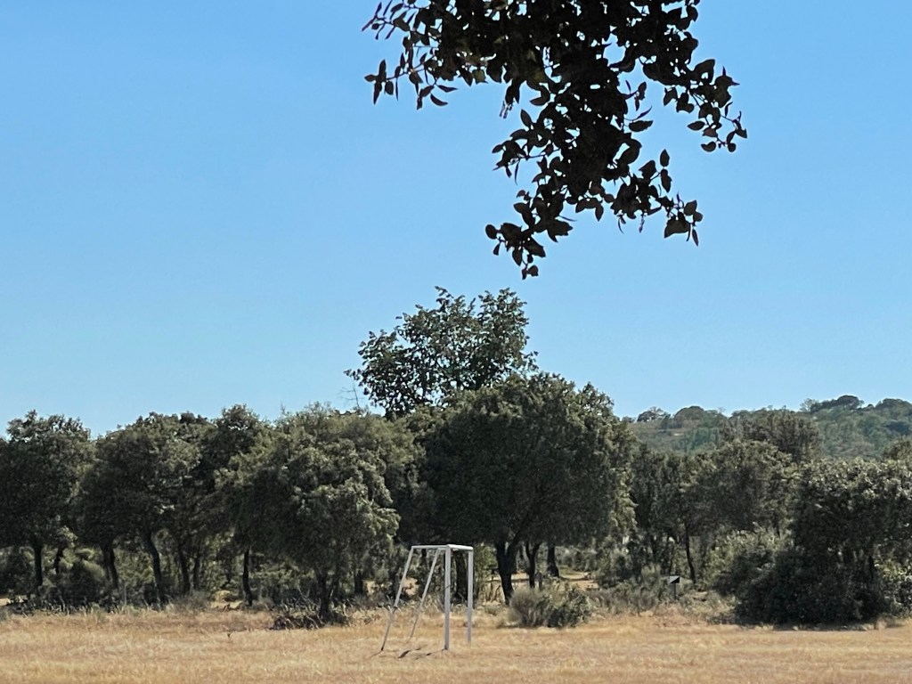 Dehesa y Merenderos en Sancti Espíritu. Salamanca. Castilla y León.&nbsp;29.7.2022