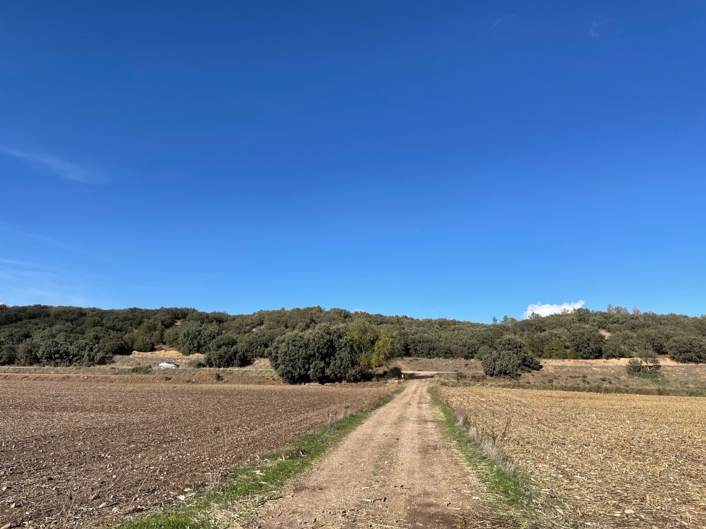 Campo, camino y antiguas casas de colonos en La Colonia, Aranda de Duero. Burgos. Castilla y León.&nbsp;14.11.2022