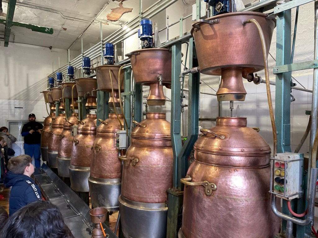 Alquitaras y paisaje desde la destilería de Aguardiente el Coterón. Cantabria.&nbsp;2023.01.29