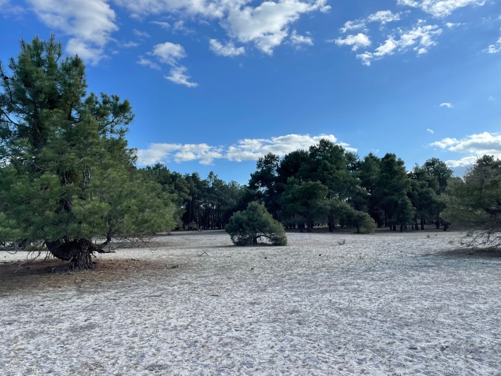 Carrera Carralagunas. Lagunas de Cantalejo. Segovia. Castilla y León.&nbsp;15.4.2023