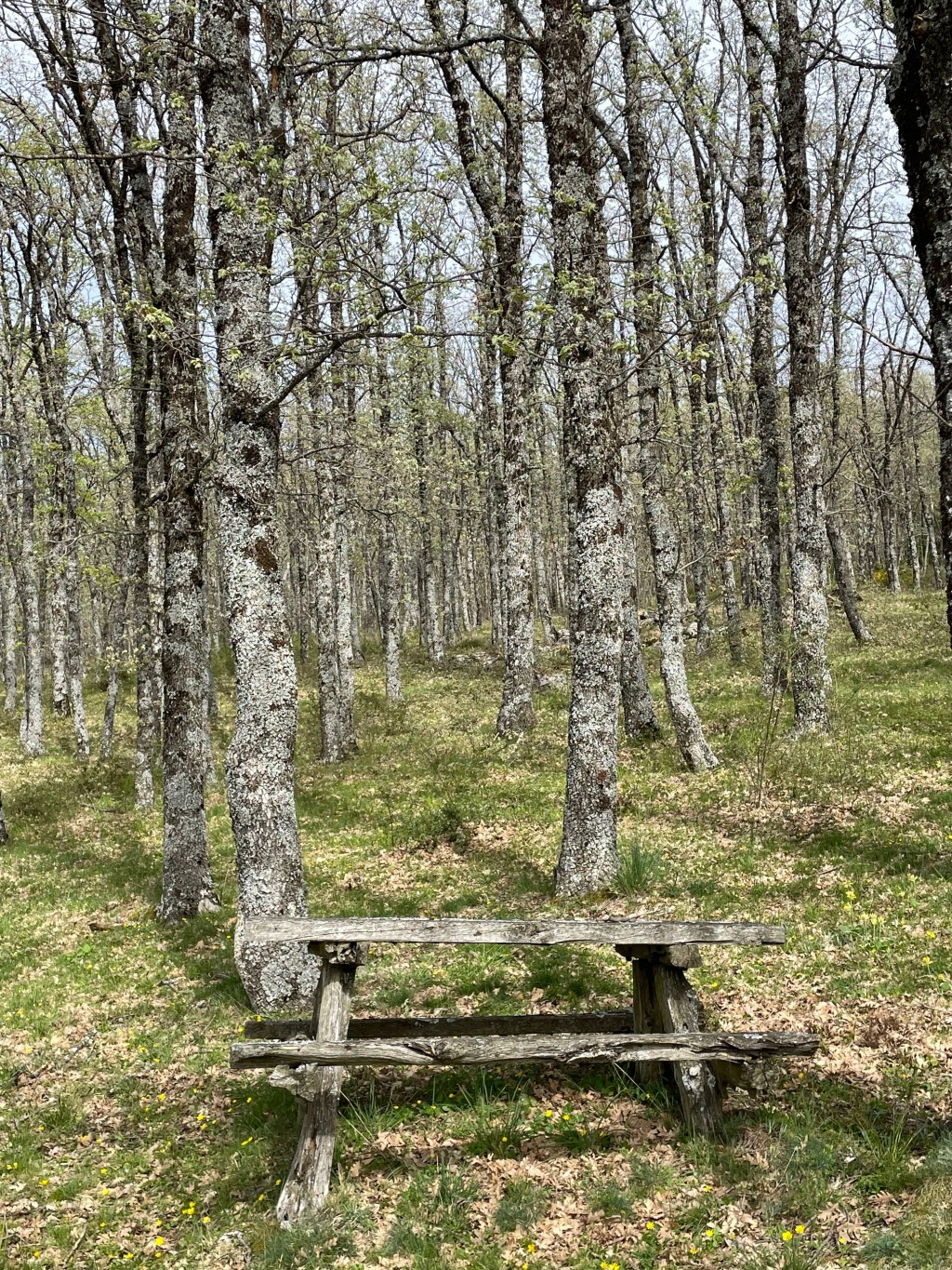 Merenderos alrededor de la Ermita de la Virgen de Hontanares. Riaza. Segovia. Castilla y León.&nbsp;1.5.2023