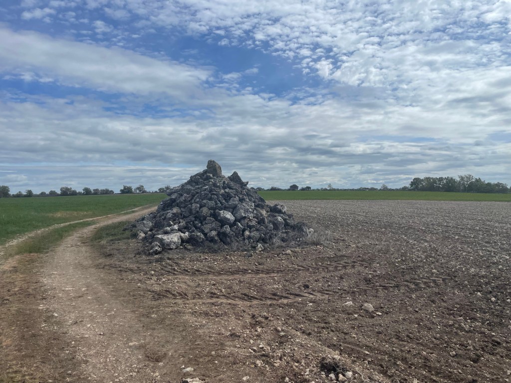 Detalles del Campo en la Carrera ‘Subida casi vino’ de Villovela de Esgueva, Burgos, Castilla y León.&nbsp;4.4.2024