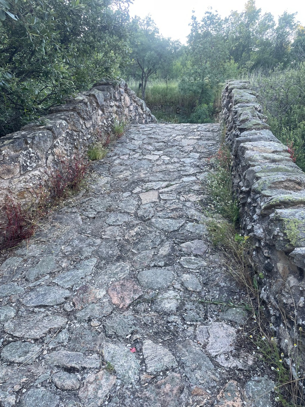 Puentes Románicos en Canencia, Madrid, Comunidad de Madrid.&nbsp;15.6.2024