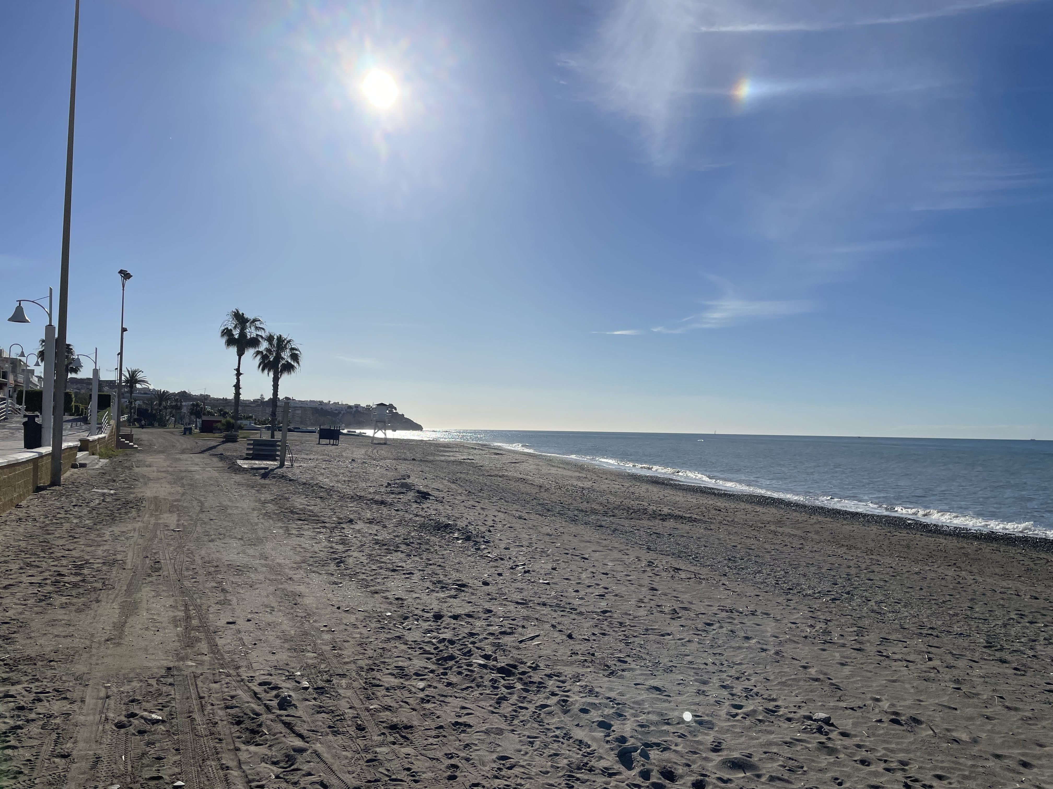 A serene beach scene with a clear blue sky, the sun shining brightly overhead, and palm trees lining a sandy pathway next to the ocean.