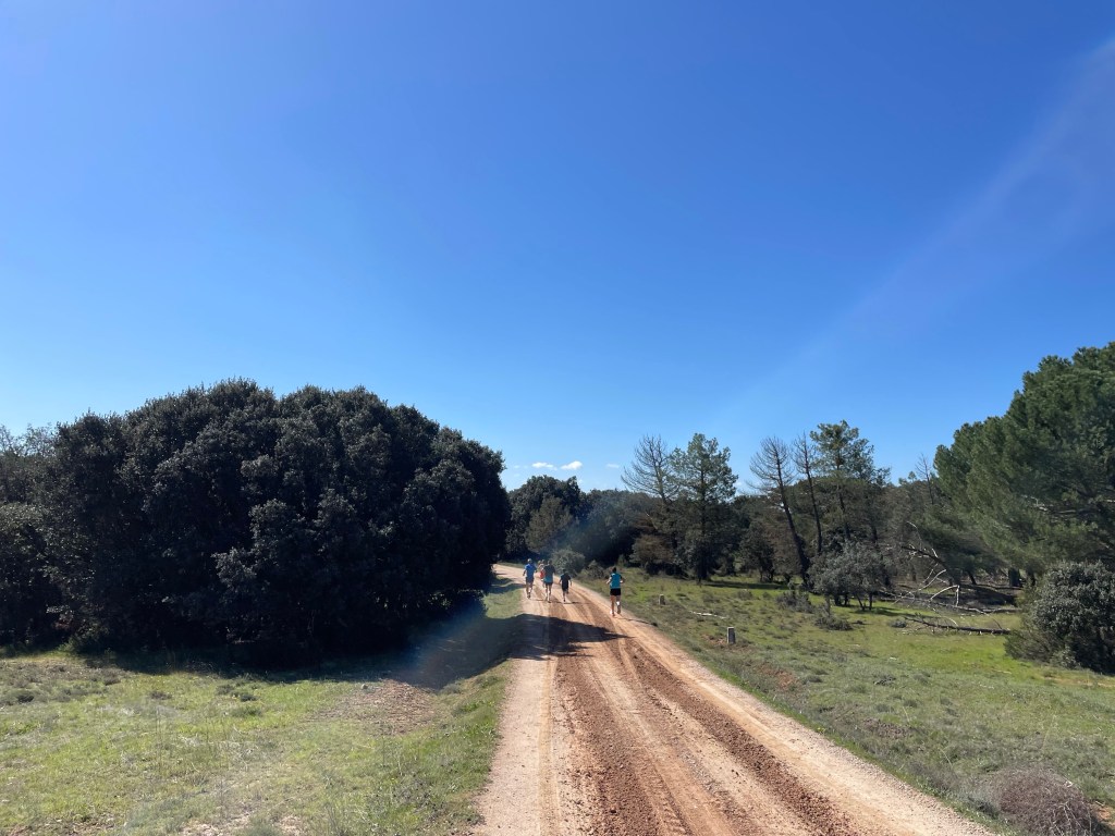 Carrera del Día de Villalar en el monte de la Calabaza, Aranda de Duero. Burgos.&nbsp;23.04.2025.